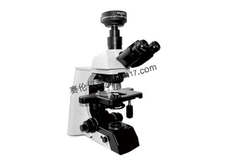 ML51生物显微镜